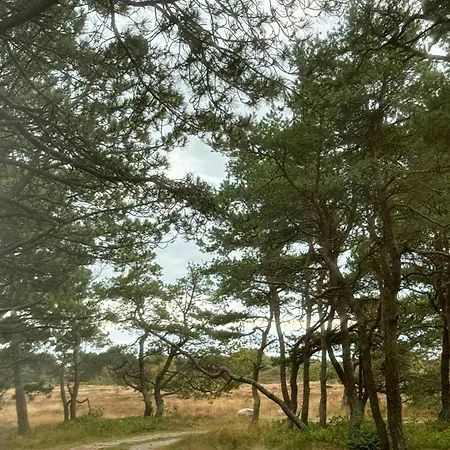 Nordic House Between The And Mols Bjerge 에벨토프트